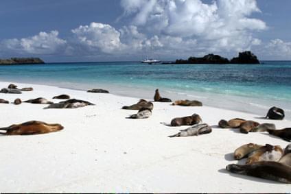 Bild Galapagos Islands